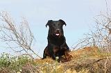 BEAUCERON 383